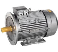 Электрический двигатель ONI 3ф АИС 63C4 380В 0,25кВт 1500об/мин 2181 ONS063-C4-000-3-1521