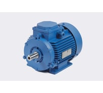 Электродвигатель МЭЗ У2-220/380-50IM1081-Р.К.В.К31Е-ААА-IE1Могилев АИР63А6 0,18*1000 1081