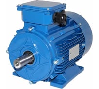 Двигатель ЭМШ AIS132SB2У1 7,5кВт 380/660В, IMB3(1081), IP55, 43 кг, AL Х0000070717