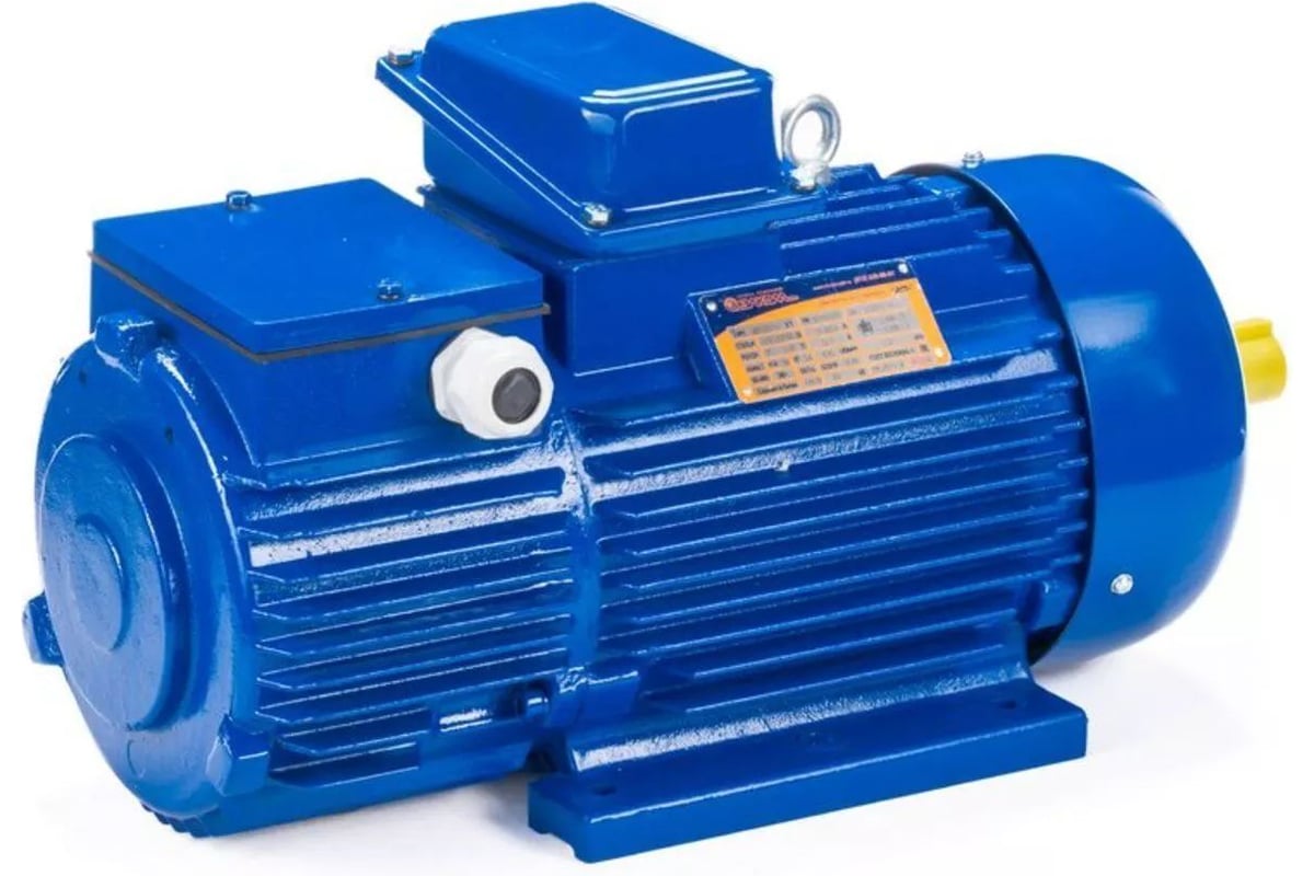 Электродвигатель Элком 5МТН 412-8 22/750 IM 1003 01.03.01.001222 ...