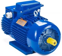 Электродвигатель Элком 5МТН 312-8 11/750 IM 1001 01.03.01.001219