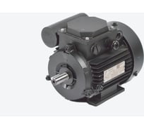Электродвигатель МЭЗ У3-220-50IM1081 АИРЕ100С4 1081