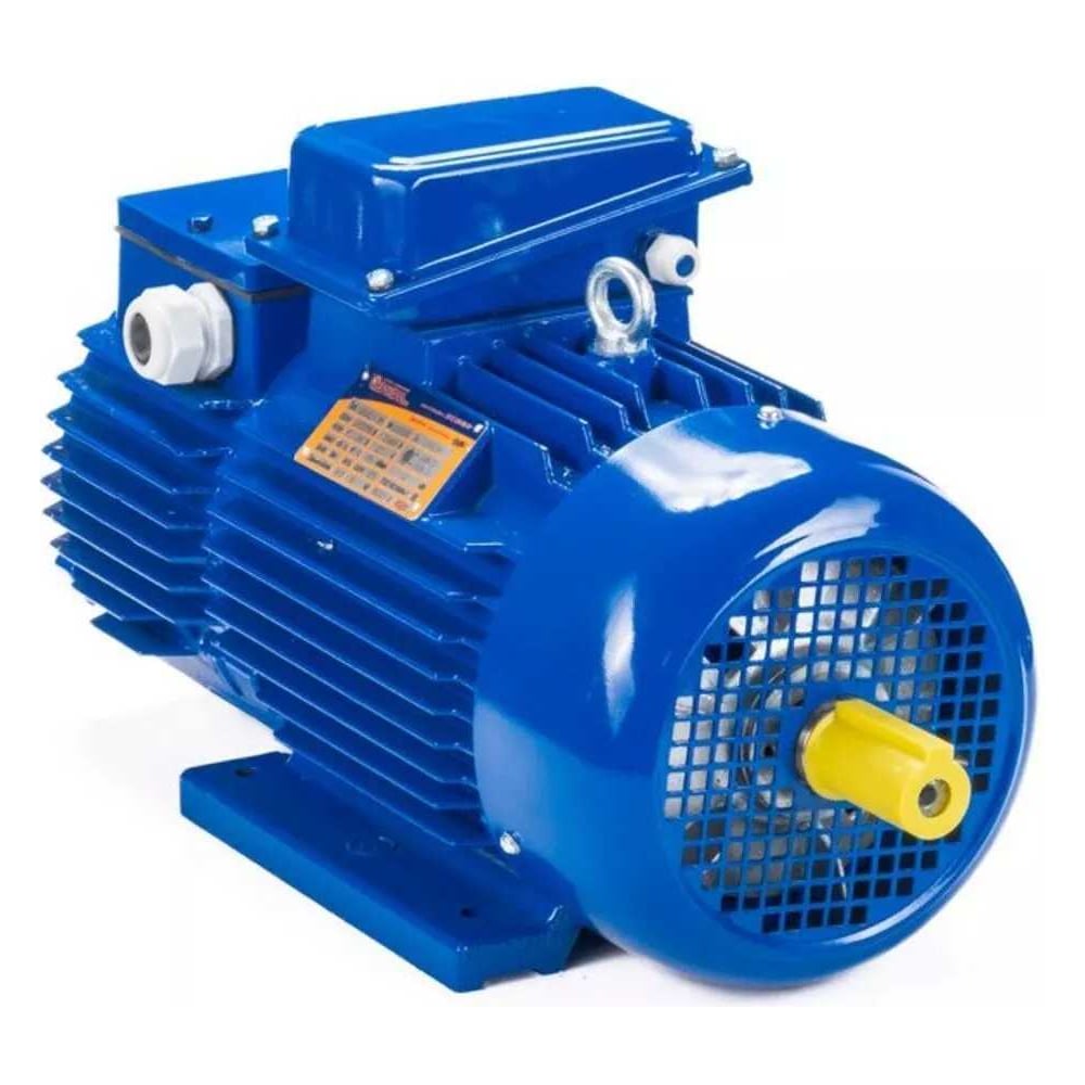 Электродвигатель Элком 5МТН 225 L8 37/750 IM 1004 01.03.01.001204 ...