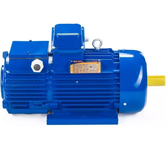 Электродвигатель Элком 5МТН 225 L8 37/750 IM 1004 01.03.01.001204