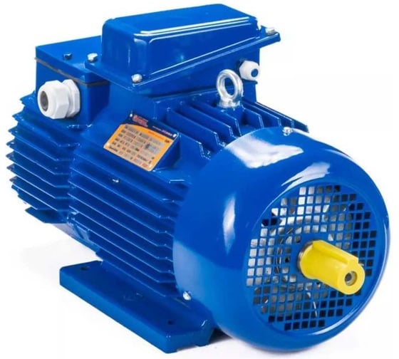 Электродвигатель Элком 5МТН 225 L8 37/750 IM 1004 01.03.01.001204 1