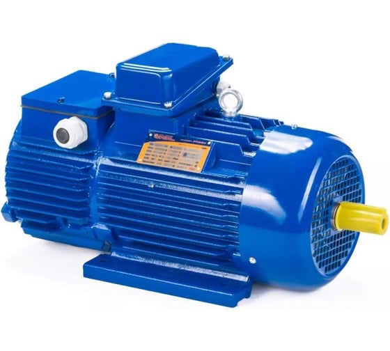 Электродвигатель Элком 5МТН 225 L8 37/750 IM 1004 01.03.01.001204