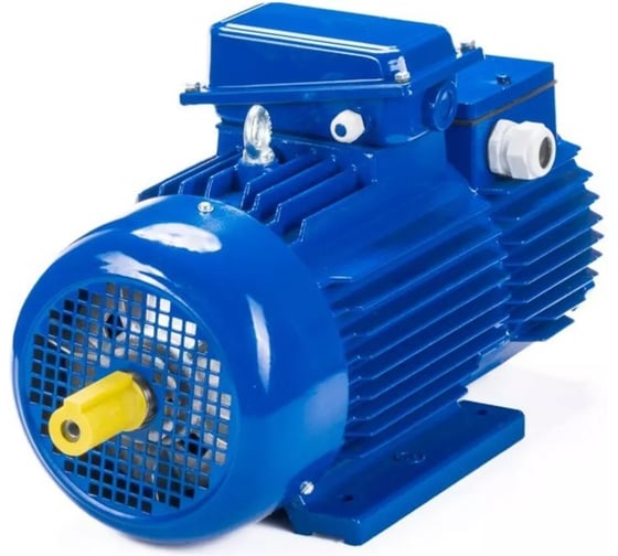 Электродвигатель Элком 5МТН 225 L8 37/750 IM 1004 01.03.01.001204