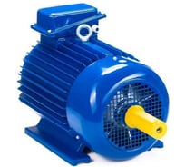 Электродвигатель Элком 5МТКН 012-6 2.2/1000 IM 1001 01.03.02.000022
