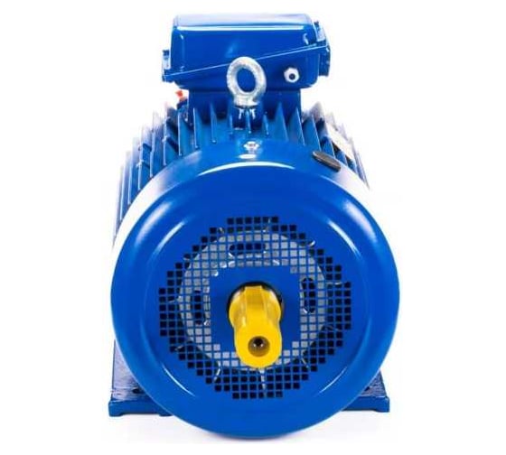 Электродвигатель Элком 5МТКН 225 L6 55/1000 IM 1003 01.03.02.000754