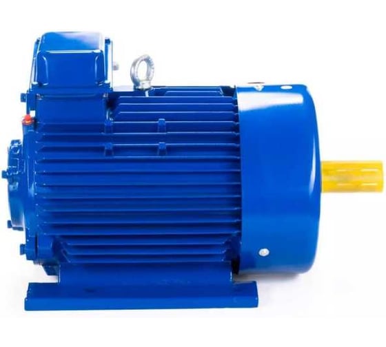 Электродвигатель Элком 5МТКН 225 L6 55/1000 IM 1003 01.03.02.000754