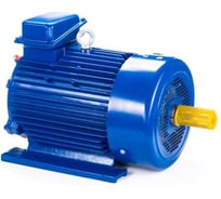 Электродвигатель Элком 5МТКН 225 L8 37/750 IM 1003 01.03.02.000755