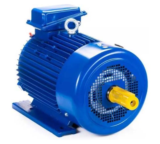 Электродвигатель Элком 5МТКН 225 L8 37/750 IM 1003 01.03.02.000755