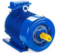 Электродвигатель Элком 5МТКН 411-6 22/1000 IM 1003 01.03.02.000759