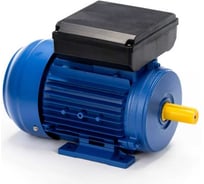 Электродвигатель однофазный 5АИ Е2 71 С4 IM 1081 0.75/1500 01.06.01.220316