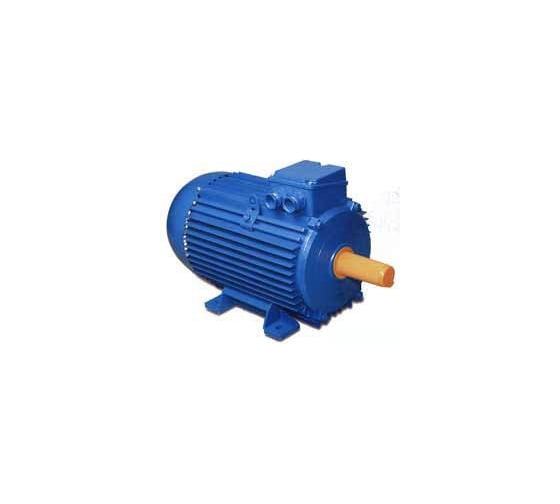 Электродвигатель ELDIN А 355 SMC2 У3 355/3000 2081 Э355SMC22081 1