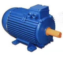 Электродвигатель ELDIN А 355 SMA4 У3 250/1500 2081 Э355SMA42081