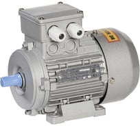 Однофазный электродвигатель Oni 80B2A2, 1,50 кВт, 3000об\мин., 2081 220В 4606056516258