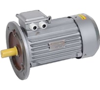 Электродвигатель двигатель ONI DRIVE 3ф АИР 100L8 380В, 1.5 кВт, 750 об/мин, 3081 IEK DRV100-L8-001-5-0730