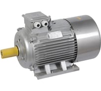 Электродвигатель ONI DRIVE 3ф АИС 132M4 380В 7,5кВт 1500об/мин 1081 IEK AIS132-M4-007-5-1510