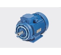 Электродвигатель МЭЗ У2-220/380-50IM2181-Р.К.В.К31Е-ААА-IE1(Могилев)F-85мм АИР63А6 0,18*1000 2181