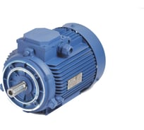 Электродвигатель МЭЗ У2-220/380-50IM3681-Р.К.В. К31Е-ААА (Могилев) F-85мм АИР56В4
