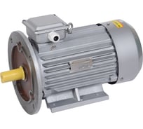 Трехфазный электродвигатель IEK АИР 100L8 380 В, 1,5 кВт, 750 об/мин, 2081 DRIVE DRV100-L8-001-5-0720