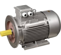 Трехфазный электродвигатель IEK АИР 112MA8 380 В, 2,2 кВт, 750 об/мин, 2081 DRIVE DRV112-M8-002-2-0720