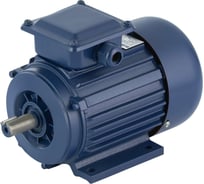 Электродвигатель ТМ БЭЗ АИР 63B2 IM1081 0,55 кВт/3000 об/мин 95506