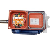 Электродвигатель ТМ БЭЗ АИР 112MB6 IM1081 4 кВт/1000 об/мин 96916