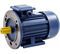 Электродвигатель ТМ БЭЗ АИР 100L6 IM2081 2.2 кВт/1000 об/мин 98415