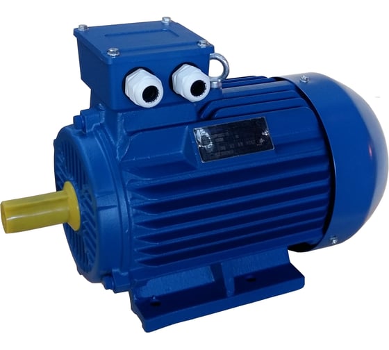 Электродвигаетль ЭМШ AIS200L4У1 30кВт 380/660В, IMB3 (1081), IP55, , 253кг Х0000073228 1
