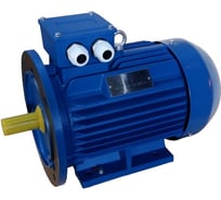 Электродвигаетль ЭМШ AIS100L2У1 3кВт 220/380В, IMB35 (2081), IP55, , 25кг Х0000072234