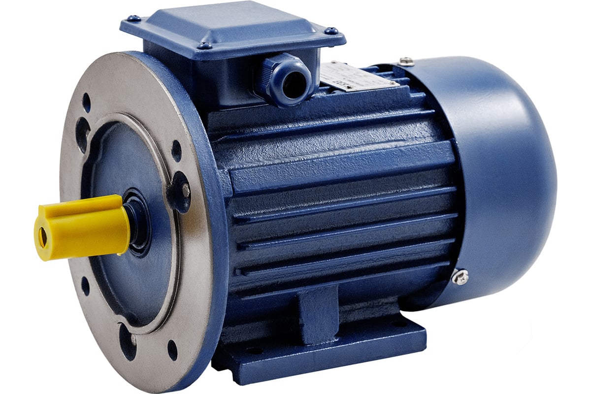 Электродвигатель ТМ БЭЗ АИP 100S2 IM2081 (4 кВт/3000 об/мин) 79083 ...