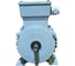 Электродвигатель ООО "РЦП ГРУПП" 3/3000 220/380 90L2 IM1081 У2 АИР (Вал d1=24) ПГ-00000020 1
