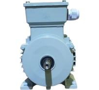 Электродвигатель ООО "РЦП ГРУПП" 2,2/1500 220/380 90L4 IM1081 У2 АИР (Вал d1= 24) ПГ-00004571