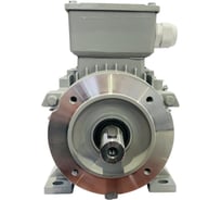 Электродвигатель ООО "РЦП ГРУПП" 0,25/1500 220/380 63C4 B34 У2 АИС (PAM 11/90) ПГ-00000105