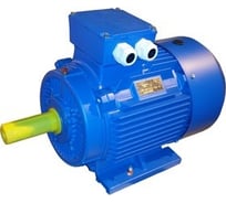 Электродвигатель ЭМШ AIS160L6У1 11кВт 380/660В, IMB3(1081), IP55, 116кг, CI Х0000072245