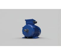 Электродвигатель ООО "ТПК "ТЕХПРИВОД" XR MS90S-4 B14 (1,1 кВт/1500) PTC XR-MS90S-4-B14-1,1
