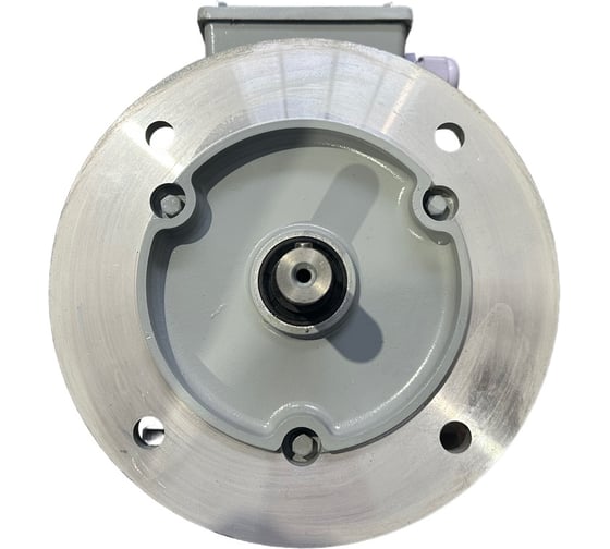 Электродвигатель ООО "РЦП ГРУПП" 3/1000 220/380 112MB6 B35 У2 АИС (PAM 28/250) ПГ-00004674