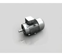 Электродвигатель ООО "ТПК "ТЕХПРИВОД" Siemens 1LE1002-0BA22-2KA4 (63MB14;0,18 kW/3 000 rpm)