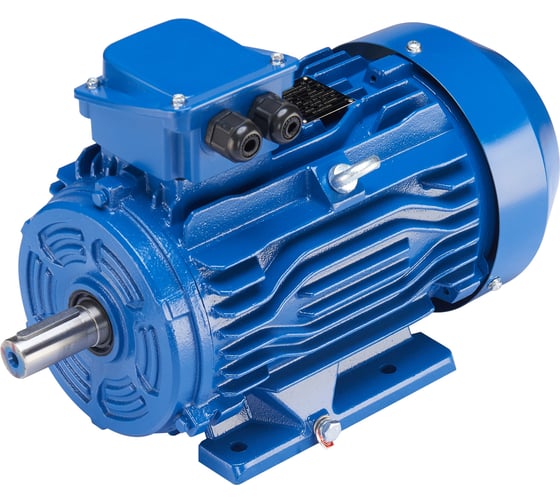 Электродвигатель ET АИР100L2_IM1081 55кВт 3000 обмин 100603077
