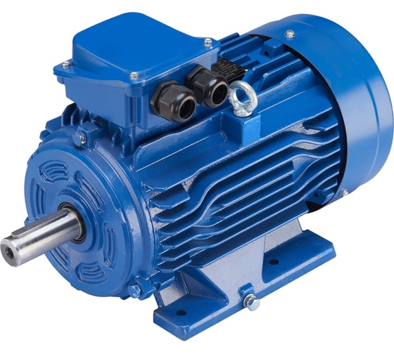 Электродвигатель ET АИР112M2_IM1081 76кВт 3000 обмин 100603078
