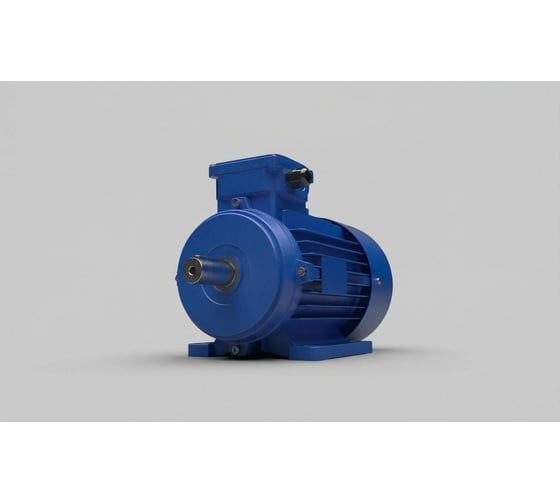 Электродвигатель ООО "ТПК "ТЕХПРИВОД" АИР200L8 22,0/750 IM1081 (TL) (380/660V) TL-АИР200L8-B3-22,0