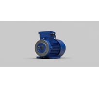 Электродвигатель ООО "ТПК "ТЕХПРИВОД" AB MS632-2 B34 (0,25 кВт/3000) AB-MS6322-B34-0,25