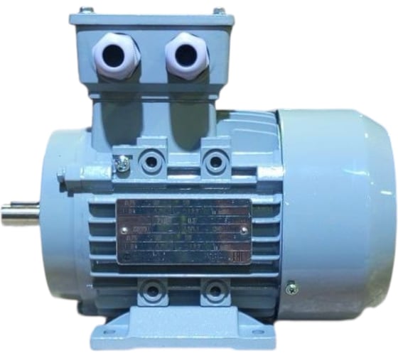 Электродвигатель ООО "РЦП ГРУПП" 3/750 220/380 112MB8 IM1081 У2 АИР (Вал d1=32мм) ПГ-00006081