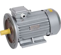Электродвигатель ONI АИР DRIVE 3ф 100L2 380В 5.5 кВт 3000 об/мин 2081 IEK DRV100-L2-005-5-3020