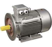 Электродвигатель ONI АИР DRIVE 3ф 112MB6 380В 4 кВт 1000 об/мин 2081 IEK DRV112-B6-004-0-1020