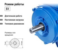 Электродвигатель TDM ELECTRIC АИР 71A6 0.37 кВт 1000 об/мин 1081 SQ3001-0030