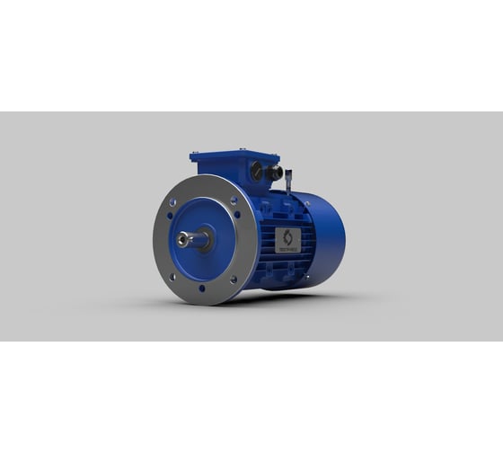 Электродвигатель Siemens ООО "ТПК "ТЕХПРИВОД" 1LE1002-1BD22-2FA4-Z D22 (112MB5;1,5 kW/750 rpm)