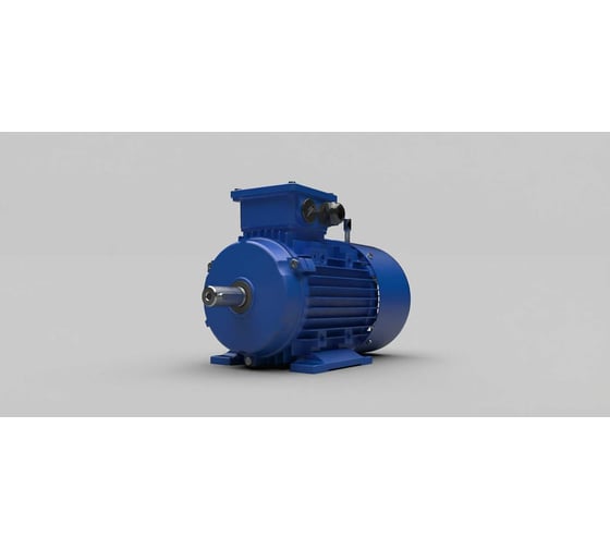 Электродвигатель Siemens ООО "ТПК "ТЕХПРИВОД" 1LE1002-0EB02-2AA4-Z D22 (90SB3;1,1 kW/1 500 rpm)